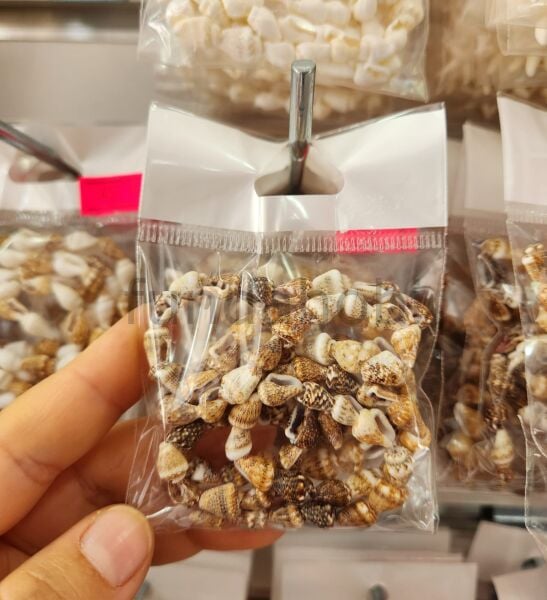 Doğal Kesik Deniz Kabuğu Boncuk  Kauri Cowrie Tazı Boncuğu Takı Malzemesi (Renk Seçenekli)