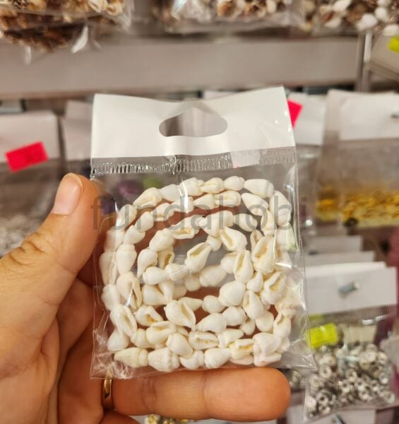 Doğal Kesik Deniz Kabuğu Boncuk  Kauri Cowrie Tazı Boncuğu Takı Malzemesi (Renk Seçenekli)