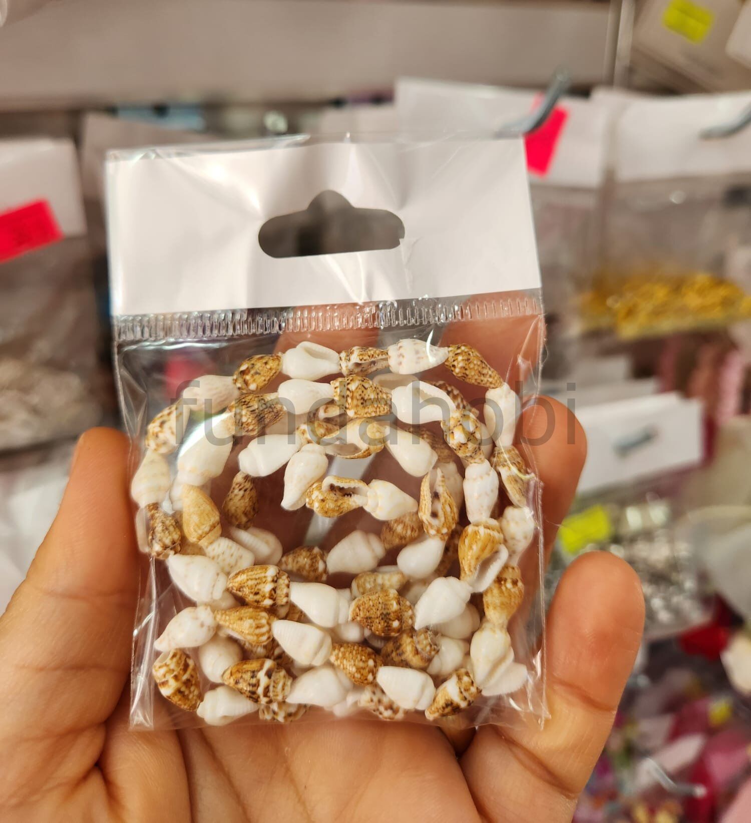 Doğal Kesik Deniz Kabuğu Boncuk  Kauri Cowrie Tazı Boncuğu Takı Malzemesi (Renk Seçenekli) model 1