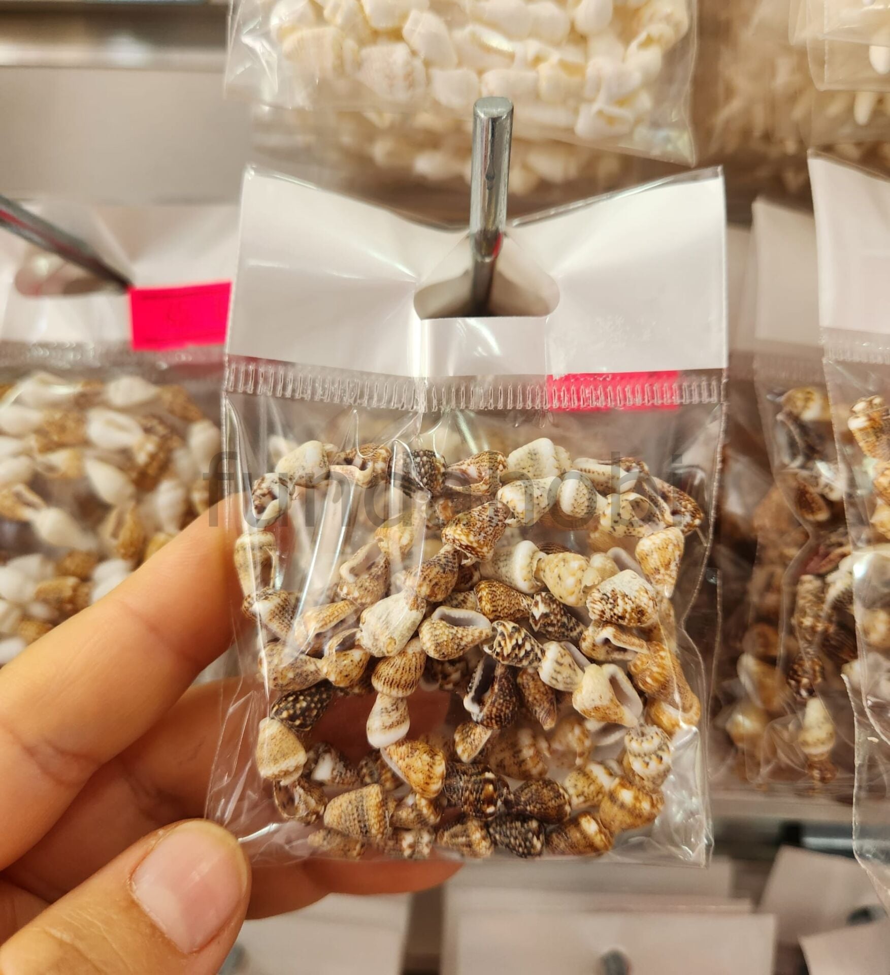 Doğal Kesik Deniz Kabuğu Boncuk  Kauri Cowrie Tazı Boncuğu Takı Malzemesi (Renk Seçenekli) model 2