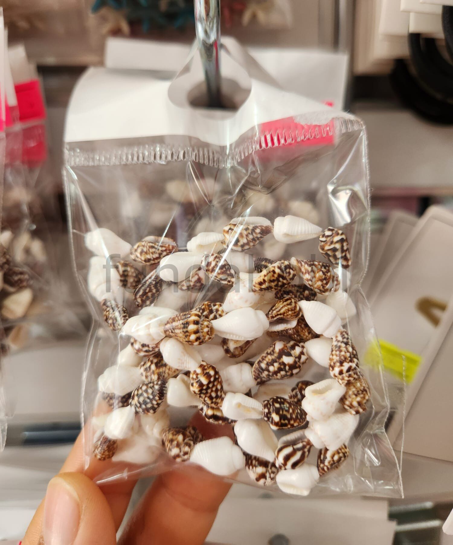 Doğal Kesik Deniz Kabuğu Boncuk  Kauri Cowrie Tazı Boncuğu Takı Malzemesi (Renk Seçenekli) model 3