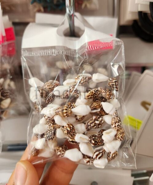 Doğal Kesik Deniz Kabuğu Boncuk  Kauri Cowrie Tazı Boncuğu Takı Malzemesi (Renk Seçenekli) model 3